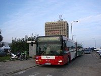 MAN NG313 #595