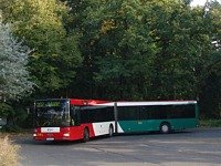 MAN NG313 #595