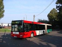 MAN NG313 #595