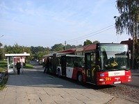 MAN NG313 #595