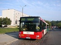 MAN NG313 #595