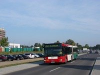 MAN NG313 #595