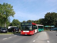 MAN NG313 #595