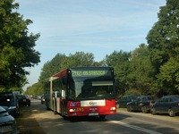 MAN NG313 #595