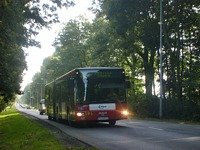 MAN NG313 #595