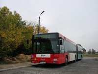 MAN NG313 #595