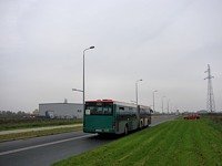 MAN NG313 #595