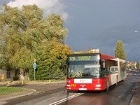 MAN NG313 #595