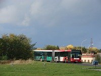 MAN NG313 #595