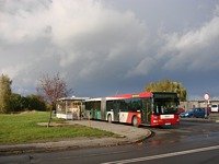 MAN NG313 #595