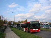 MAN NG313 #595