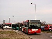 MAN NG313 #595