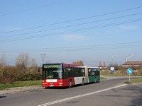 MAN NG313 #595