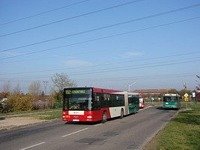 MAN NG313 #595