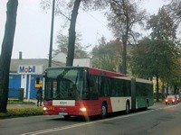 MAN NG313 #595