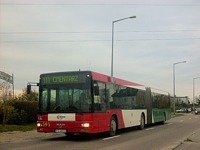 MAN NG313 #595