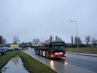 MAN NG313 #595