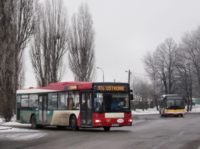 Zdj�cie miesi�ca