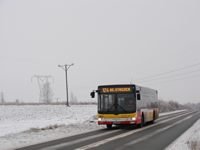 MAN NL283 Lion's City #598