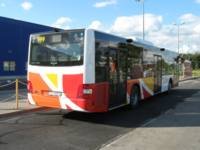 MAN NL283 Lion's City #599