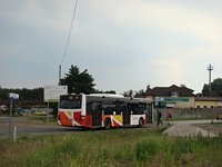 MAN NL283 Lion's City #599