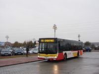 MAN NL283 Lion's City #601