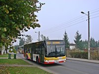 MAN NL283 Lion's City #602