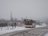 MAN NL283 Lion's City #602