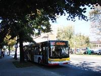 MAN NL283 Lion's City #605