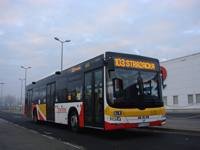 MAN NL283 Lion's City #605