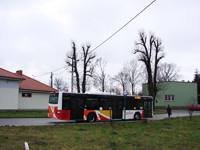 MAN NL283 Lion's City #605