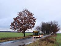 MAN NL283 Lion's City #605