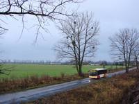 MAN NL283 Lion's City #605