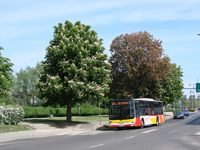 MAN NL283 Lion's City #605