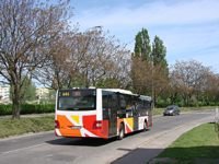 MAN NL283 Lion's City #605