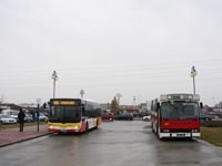 MAN NL283 Lion's City #605