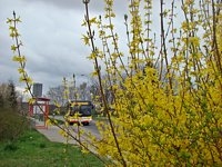 MAN NL283 Lion's City #605