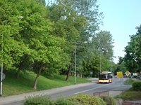 MAN NL283 Lion's City #605