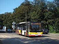 MAN NL283 Lion's City #605