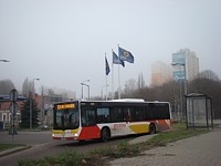 MAN NL283 Lion's City #609