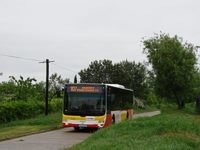 MAN NL283 Lion's City #610