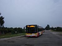 MAN NL283 Lion's City #610