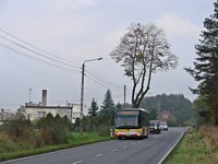 MAN NL283 Lion's City #610