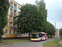 MAN NL283 Lion's City #610