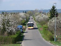 Galeria zdjec komunikacji miejskiej