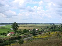 Zdj�cie miesi�ca
