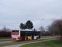 MAN NL263 Lion's City #615