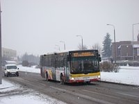 MAN NL263 Lion's City #615
