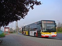 MAN Lion'sCity LL NL313-15 #617