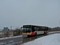 MAN Lion'sCity LL NL313-15 #617